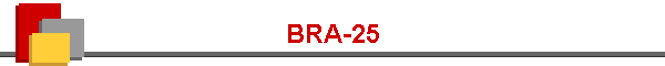 BRA-25