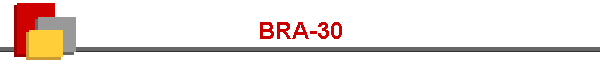 BRA-30